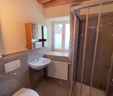 Singleapartment nahe DPU - Photo 3