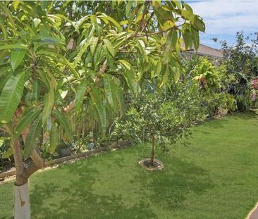 29 Riverstone Place, Bli Bli QLD 4560 - House For Rent | Domain - Photo 6