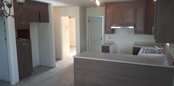 Beau grand 4 et demi Libre à partir du 1er janvier 2026 - Photo 2