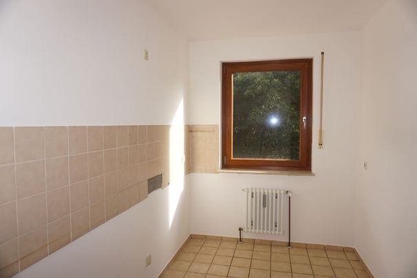 Ruhige Lage: 3-Zi. Wohnung Nbg. - Zerzabelshof / Wohnung mieten - Photo 1