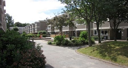 Kobbegården 51 - Photo 4