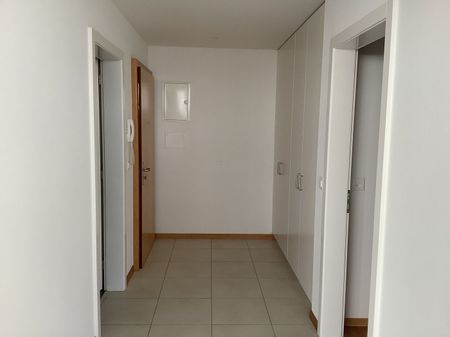 Bel appartement de 3.5 pièces au rez-de-chaussée - Photo 3