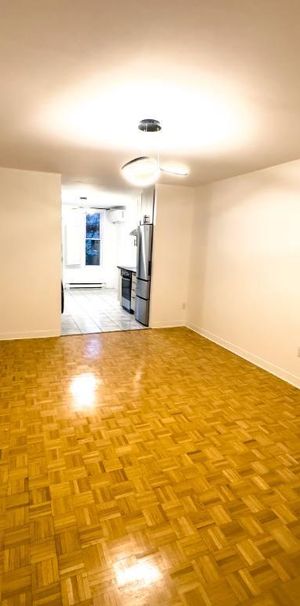 Grand 3 ½ Plateau Mont-Royal près du parc DeLorimier - Photo 1