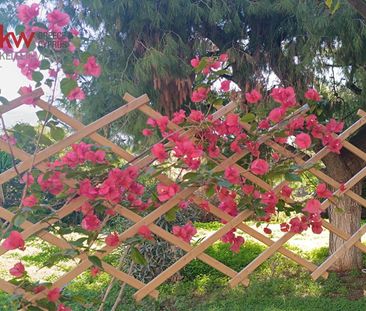 Διαμέρισμα για ενοικίαση Καλύβια Θορικού - Photo 3