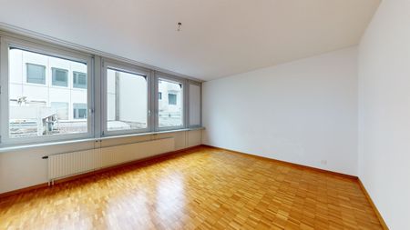 Enjoy the city life of Solothurn! - Photo 4