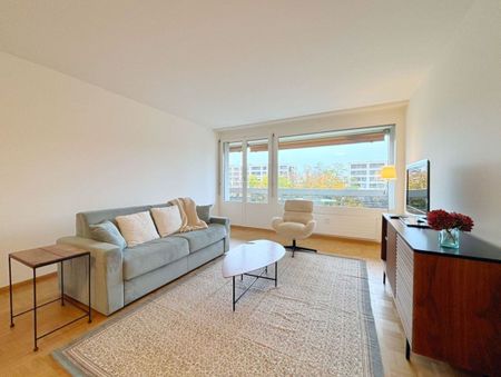 Schönes möbliertes 3.5-Zimmer-Apartment in Eaux-Vives - Photo 3