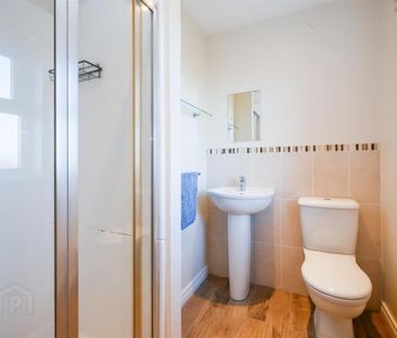 36 Danesfort Park, Saintfield Road, Carryduff, Belfast, BT8 8FG - Photo 4