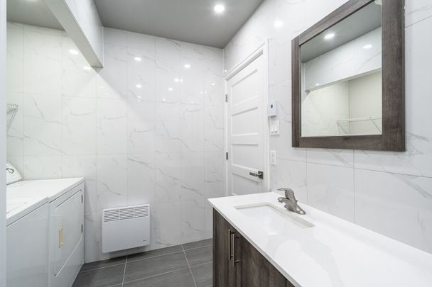 Condo for rent, Montréal (Le Plateau-Mont-Royal) - Photo 1