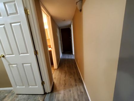 Pet Friendly 2 Bedroom, 1 Bathroom Apartment! - Photo 3