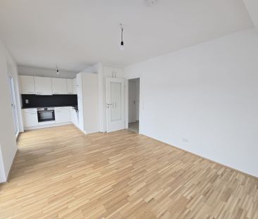 Neuwertige, geförderte 4 Zimmer-Wohnung mit großer TERRASSE in Egge... - Foto 2