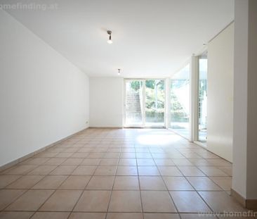 Wohnen bei der Alten Donau: sonniges Einfamilienhaus - 4 Schlafzimmer - Photo 4