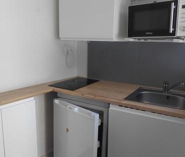 Location Appartement 1 pièce 24m² ANGERS 49100 - Photo 3