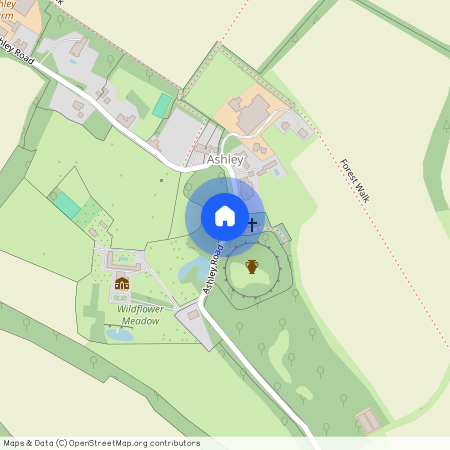 Ashley, Kings Somborne SO20