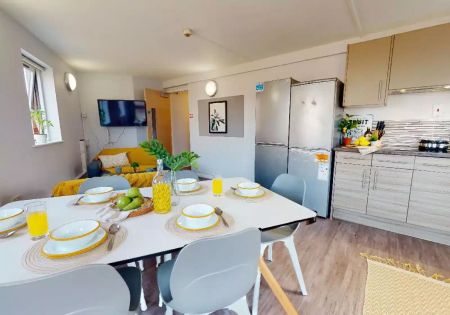 Silver Mini Studio - Photo 5