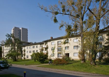 Beliebte Wohnlage in Birsfelden - Photo 5