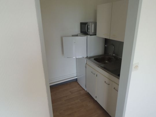 Appartement à louer - REIMS- BD HENRI VASNIER / POMMERY - Photo 1