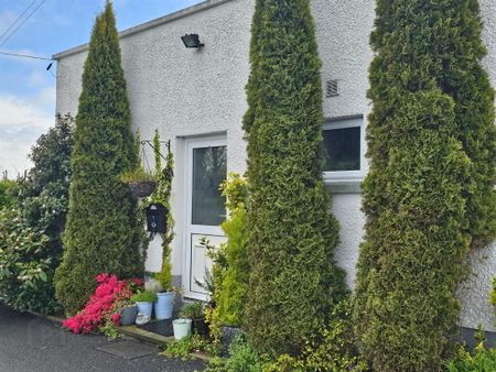 56 Ardigon Road, Killyleagh - Photo 5