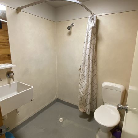 Studio Apartment in the Heart of Wellington! - Photo 4