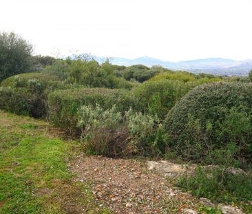 Luxury 3 room Detached House for rent in Alhaurín el Grande, Andalusia - Photo 3