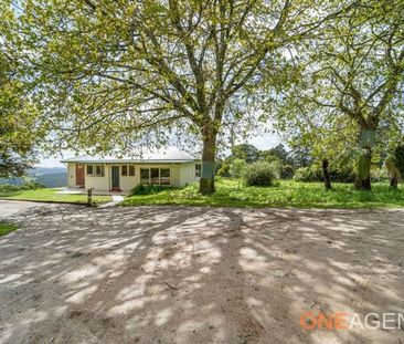 52 Nelsons Road - Photo 1