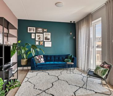 Bart Van Der Leckhof 74 - Foto 1