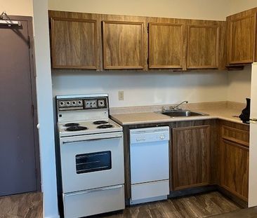 115 3RD AVE S - 1 BED/1 BATH - Available DECEMBER 1ST - Great downt... - Photo 3