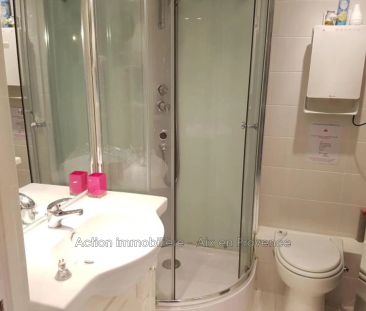 Location appartement rénové, Aix-en-Provence - Photo 6