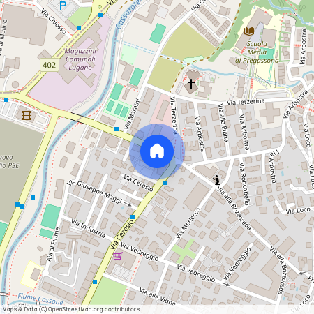 Via alla Bozzoreda 37, 6963, Pregassona