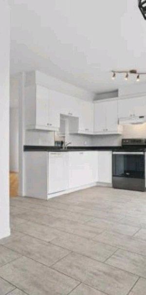 maison à louer laval St-francois - Photo 1