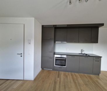 Studio 1.0 rooms - Photo 3