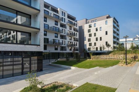 Rue Henri Evenepoel Straat, 1030, Schaarbeek - Photo 4