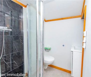 Location Appartement 1 pièce 28m² CHATTE 38160 - Photo 4