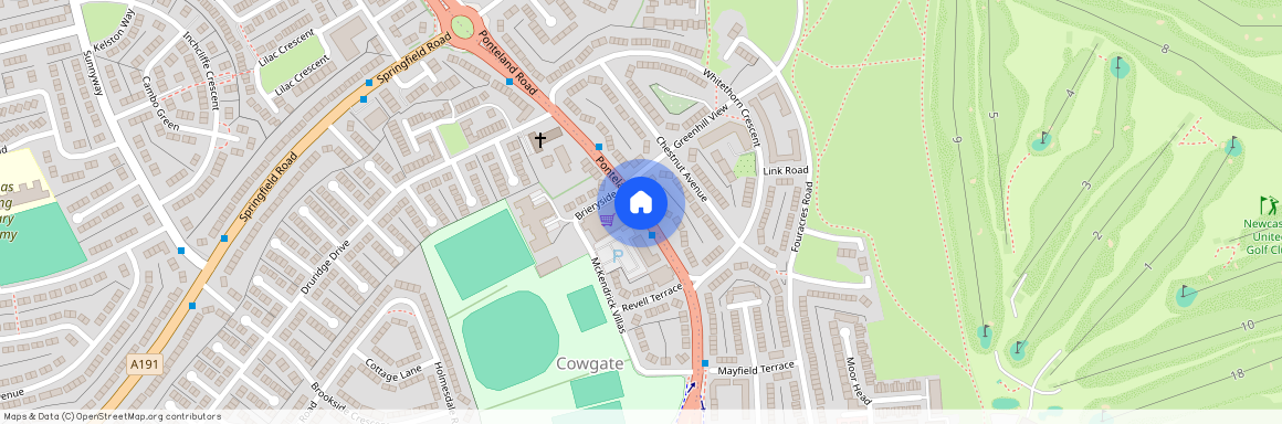 Ponteland Road, Cowgate NE5