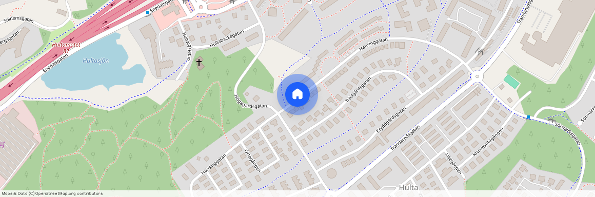 Hansinggatan, Borås