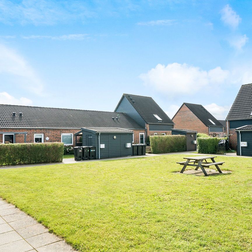 Attraktive lejeboliger i Fraugde, med plads til familien - Photo 1