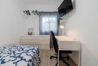 Senda del Secanet, Valencia, Valencian Community 46035