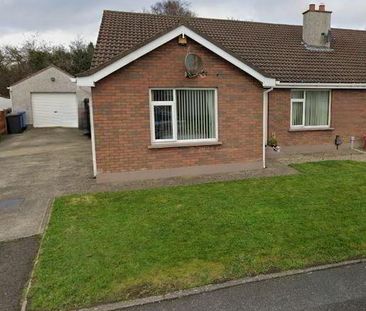Drumacony Heights, Ballykelly, BT49 9NR - Photo 4
