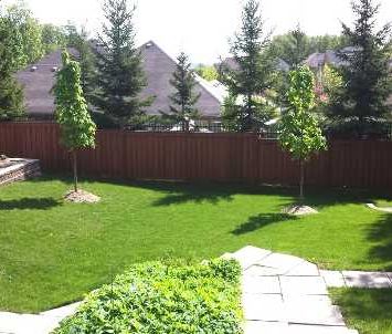 55 Nahanni Terrace - Photo 2