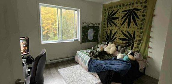 5 1/2 à louer, 1550$, Sainte-marguerite -du-lac-masson - Photo 2