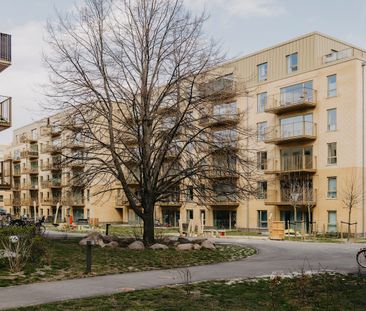 Nybygget lys lejlighed i populært område - Photo 2