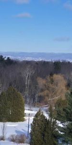 2 Mois Payé Grand et magnifique appartement condo 3 1/2 en CESSION BAIL - Photo 4