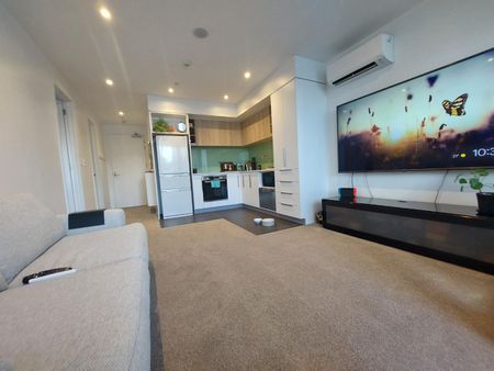 1 Bedroom mordern apartment - Handbag dog or Cat is welcome! - Photo 5