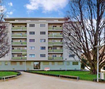 Modern living in Gellert - Foto 5