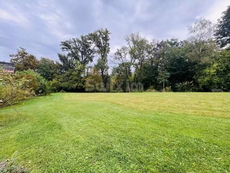 Charming Villa in Onex - 4 bedrooms - 2 terraces and wooded park - Photo 3