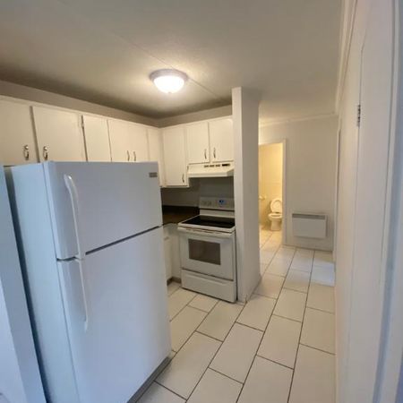 3 ET DEMI LIBRE IMMÉDIATEMENT - Photo 4