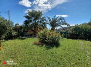 Μεζονέτα για ενοικίαση - Ανάβυσσος - Photo 3