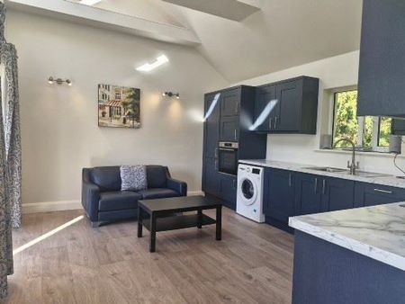 BALRAHEEN, MAYNOOTH, CO. KILDARE, Maynooth, Kildare, W23V2V4 - Photo 5