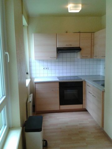 Location Appartement 1 pièce 28m² SARREGUEMINES 57200 - Photo 4