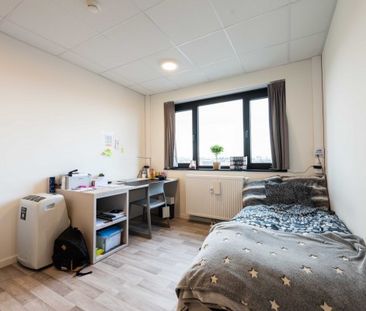 Oudergemlaan - Photo 6