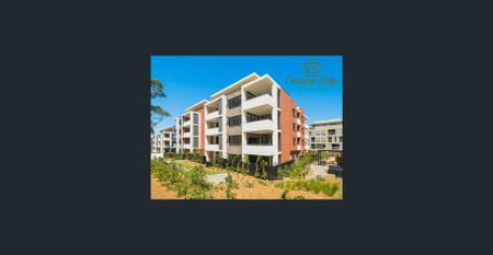 MODERN LUXURY-QUIET-LARGE LIVING/DINING-TIMBER FLOORS-WALK TRAIN SHOPS SCHOOL - Photo 5